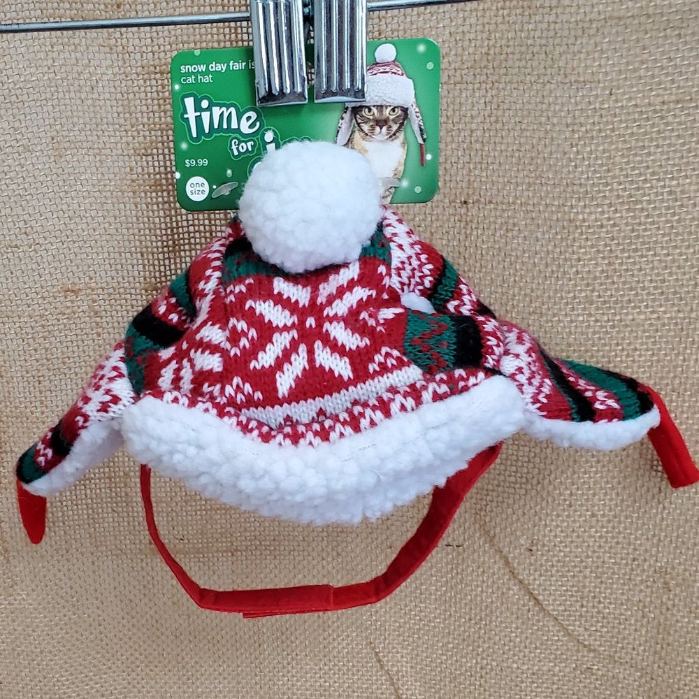 Cat, Winter Hat